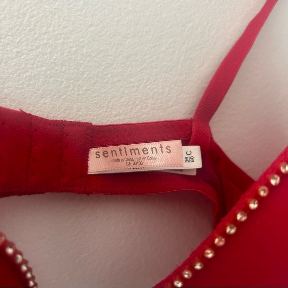 Sentiments Red  Rhinestone Bra - Picture 4 of 7